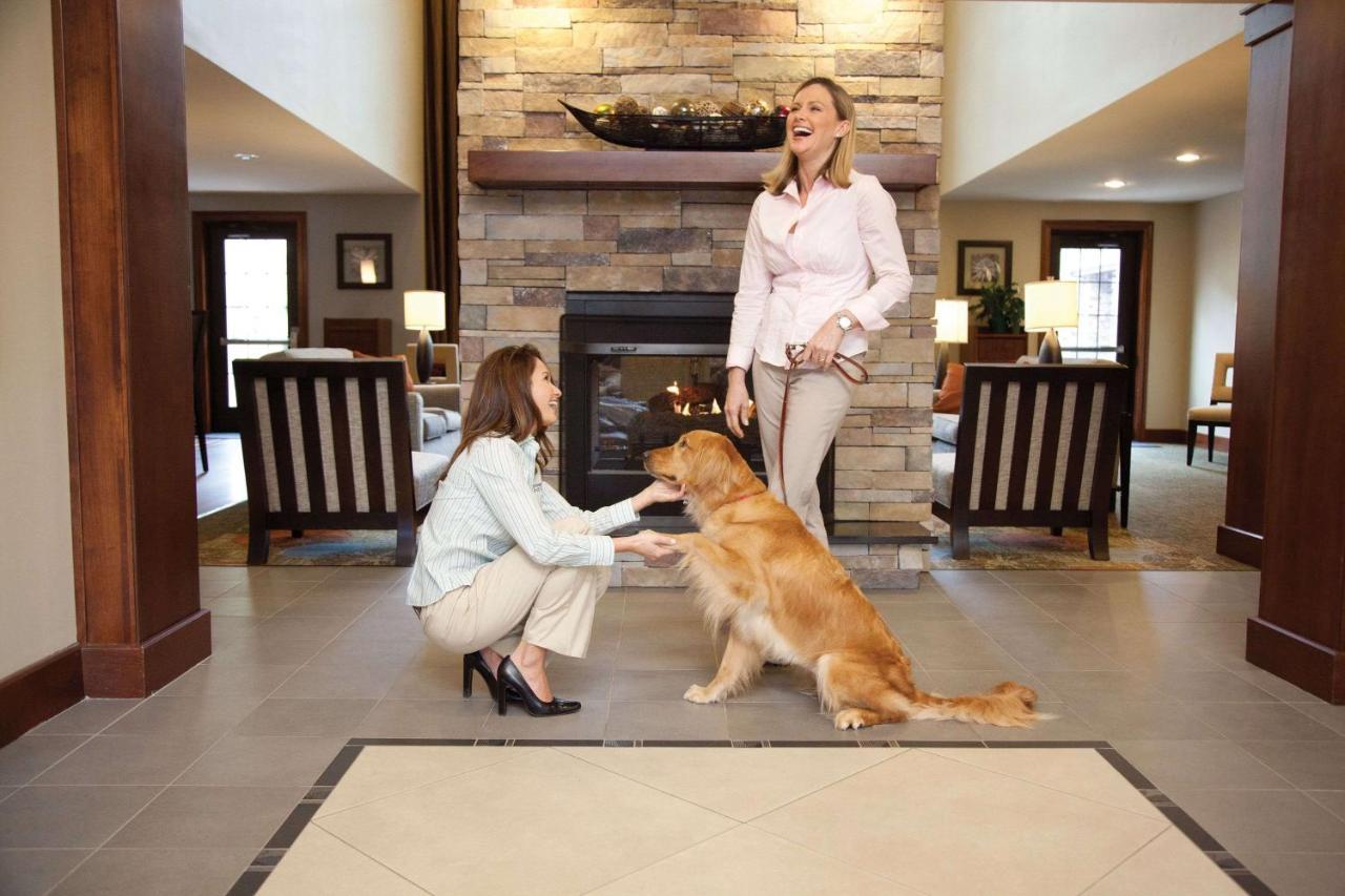 Sonesta Es Suites Dallas - Las Colinas Ирвинг Экстерьер фото