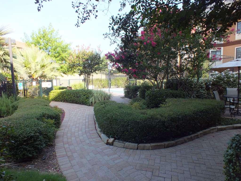 Sonesta Es Suites Dallas - Las Colinas Ирвинг Экстерьер фото